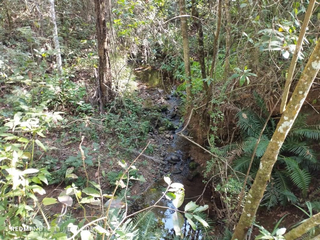 Fazenda, Centro, 3 Quartos, 0 Vaga
