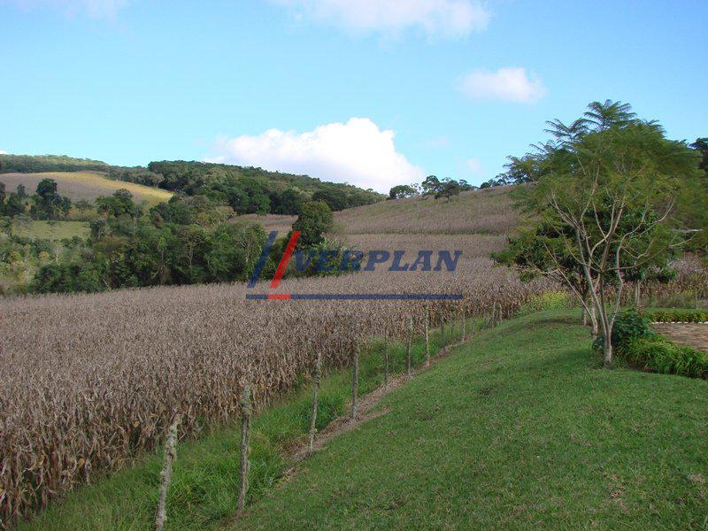 Rural, Peixoto, 5 Quartos, 8 Vagas, 4 Suítes