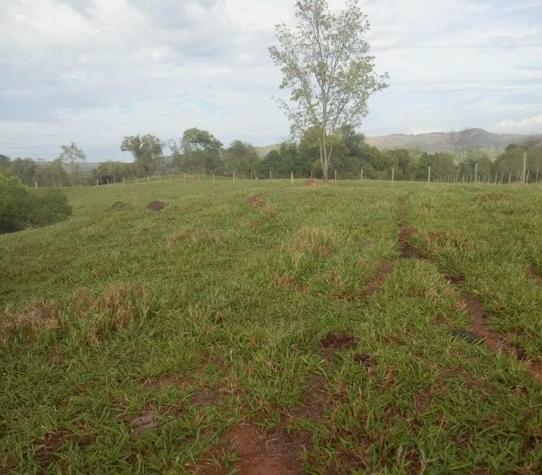 Fazenda, Urucuia, 3 Quartos, 0 Vaga, 1 Suíte