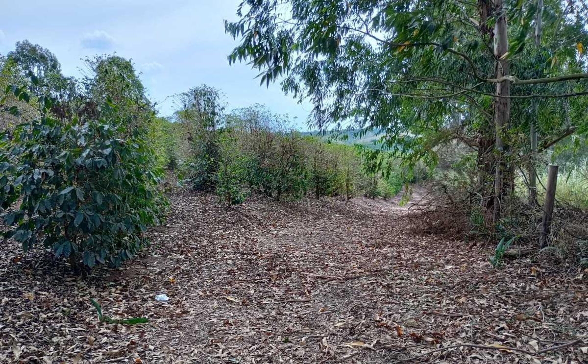 Fazenda, Zona Rural, 1 Quarto, 0 Vaga