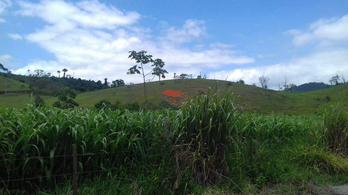 Fazenda, Centro, 0 Quarto, 0 Vaga