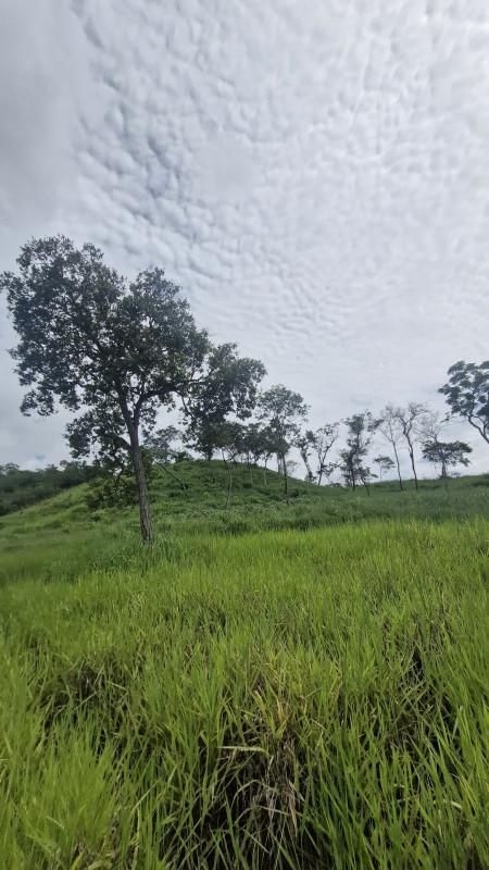 Fazenda, Centro, 0 Quarto, 0 Vaga