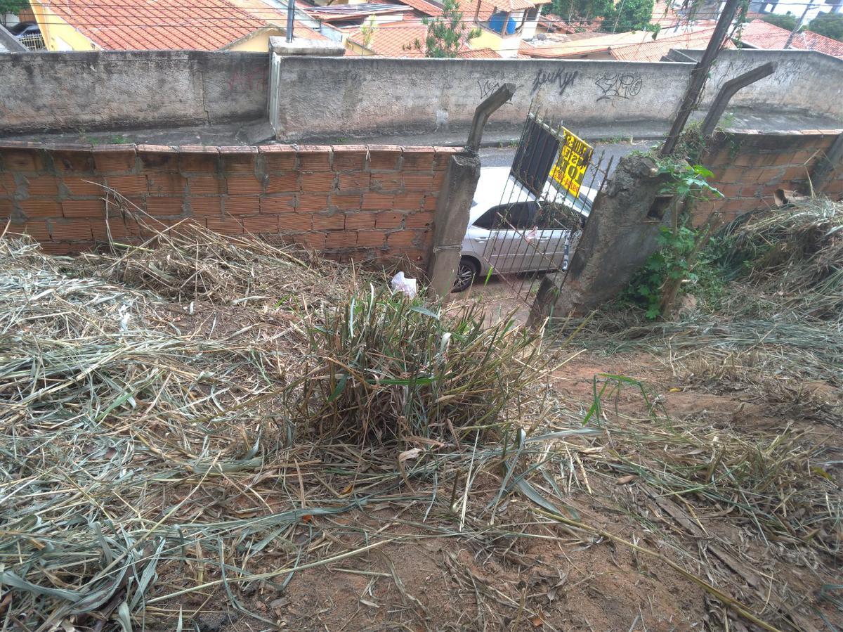 Lote, Graça, 0 Quarto, 0 Vaga