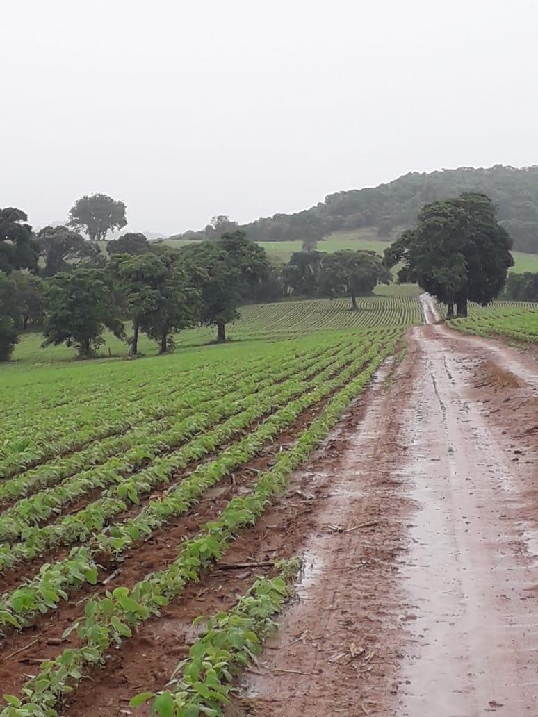 Fazenda, Centro, 1 Quarto, 1 Vaga, 1 Suíte