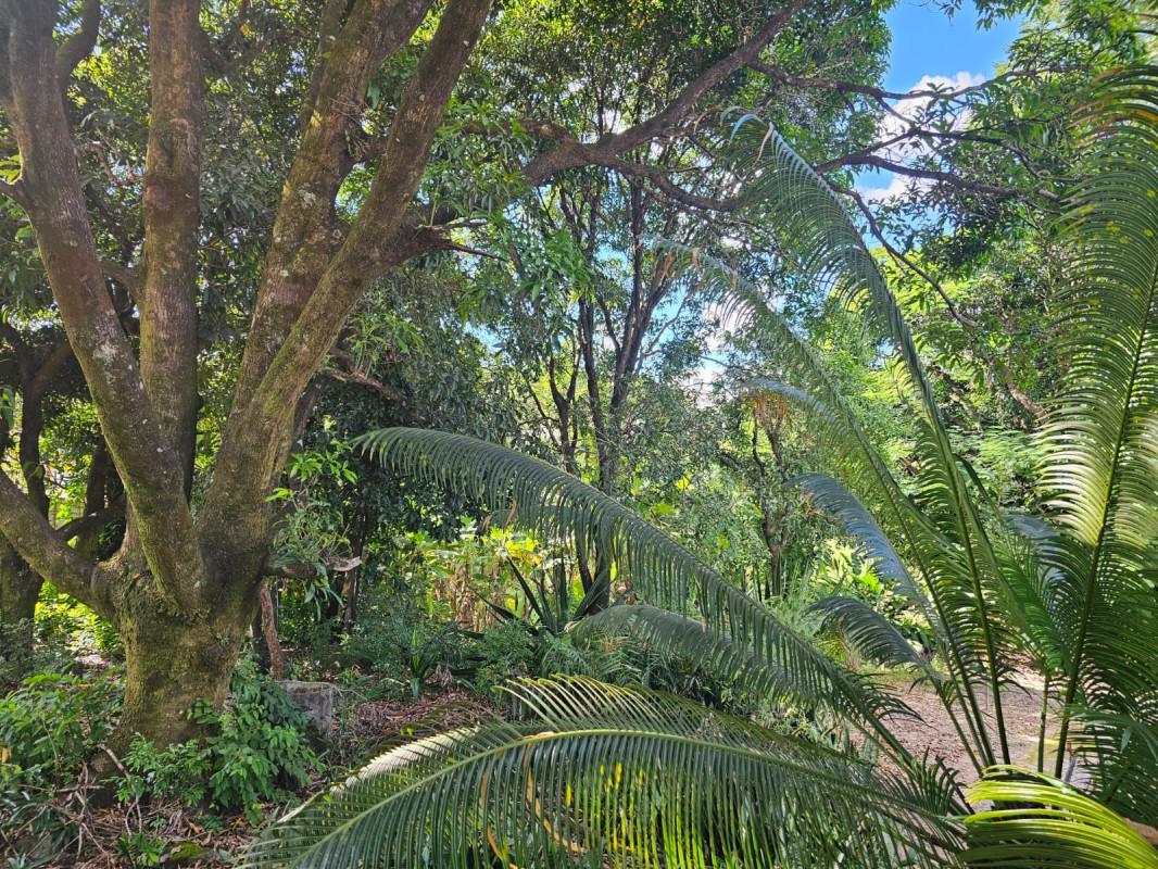 Fazenda, Chácara Cotia, 3 Quartos, 20 Vagas