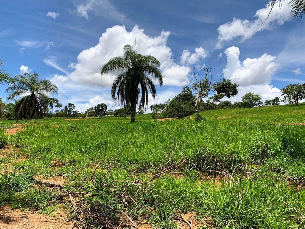 Lote, Zona Rural, 0 Quarto, 0 Vaga