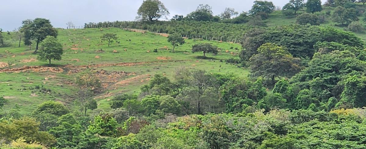 Fazenda, Centro, 3 Quartos, 0 Vaga