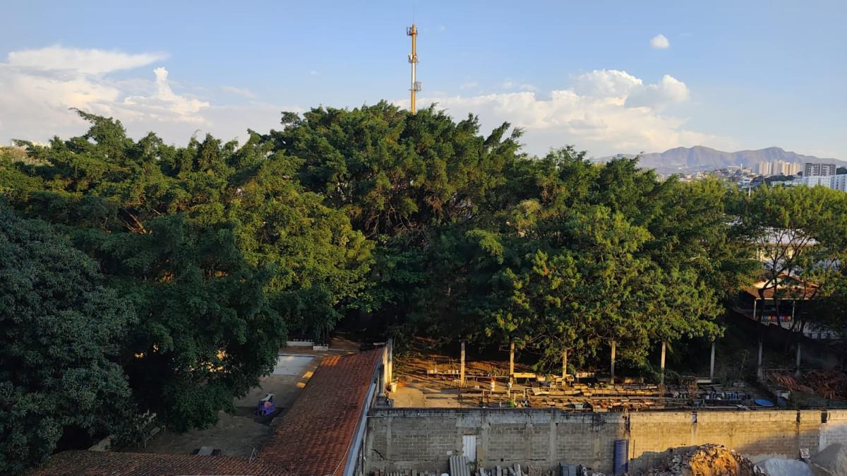 Apartamento, Cinquentenário, 3 Quartos, 1 Vaga, 1 Suíte
