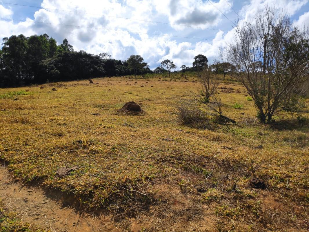 Fazenda, Zona Rural, 0 Quarto, 0 Vaga
