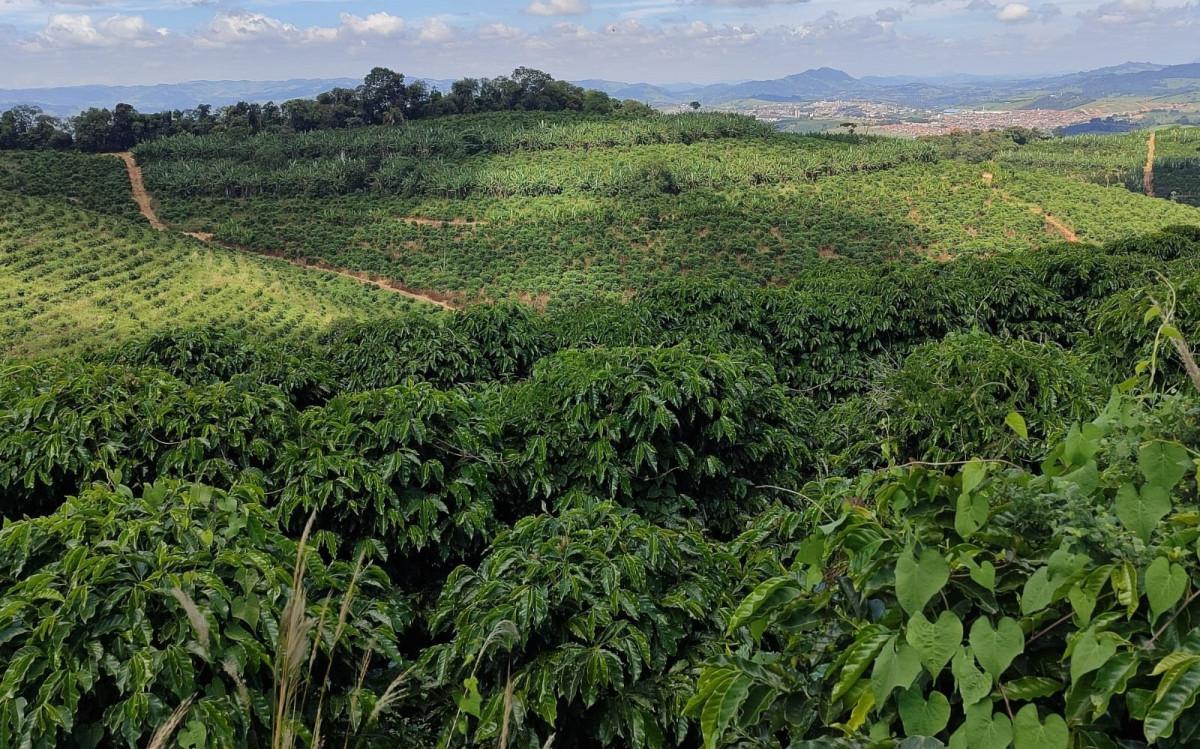 Fazenda, Zona Rural, 0 Quarto, 0 Vaga