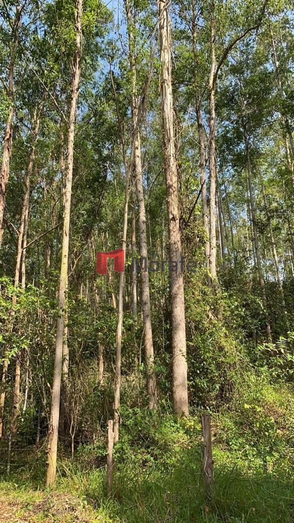 Fazenda, Centro, 4 Quartos, 10 Vagas, 1 Suíte