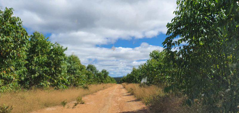 Fazenda, Zona Rural, 0 Quarto, 0 Vaga