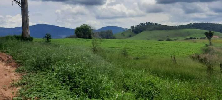 Fazenda, Zona Rural, 3 Quartos, 0 Vaga