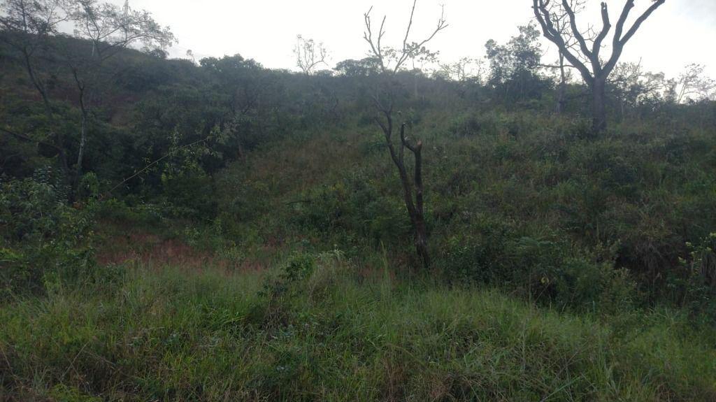 Lote, Paciência, 0 Quarto, 0 Vaga