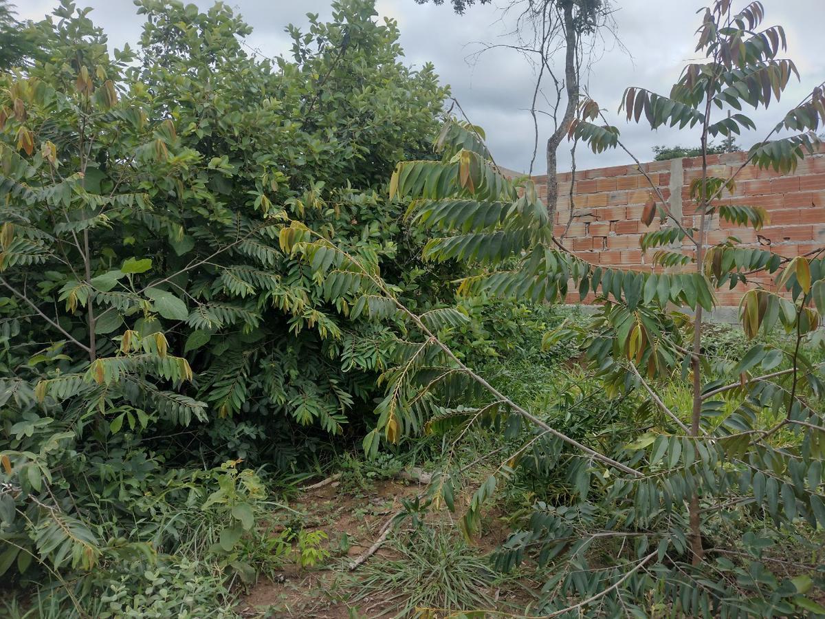 Lote, Tupã, 0 Quarto, 0 Vaga