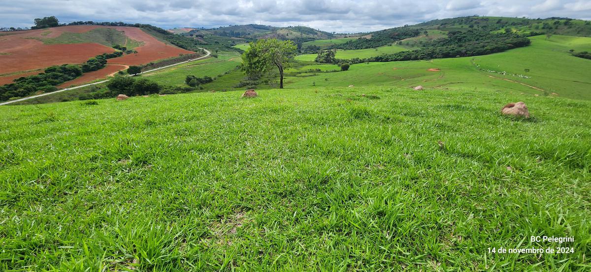 Fazenda, Centro, 3 Quartos, 0 Vaga