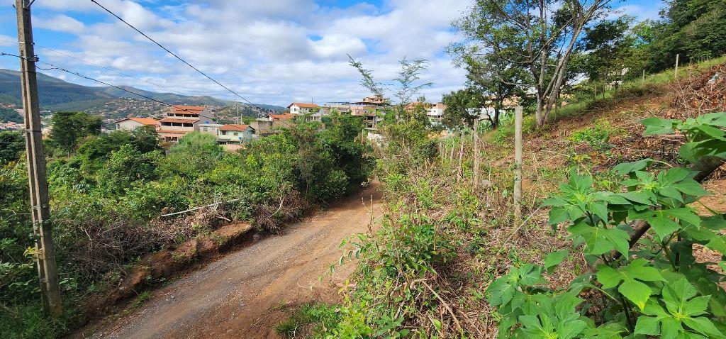 Lote, Terra Santa, 0 Quarto, 0 Vaga