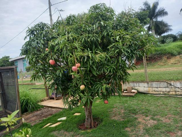 Fazenda, Serra Morena, 3 Quartos, 10 Vagas, 1 Suíte