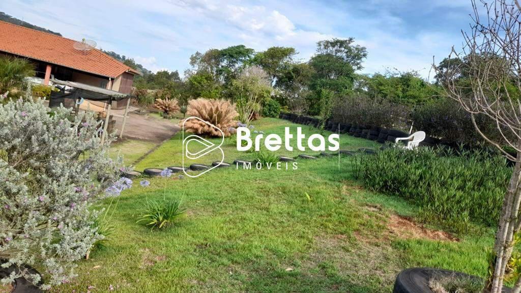 Fazenda, Centro, 0 Quarto, 0 Vaga