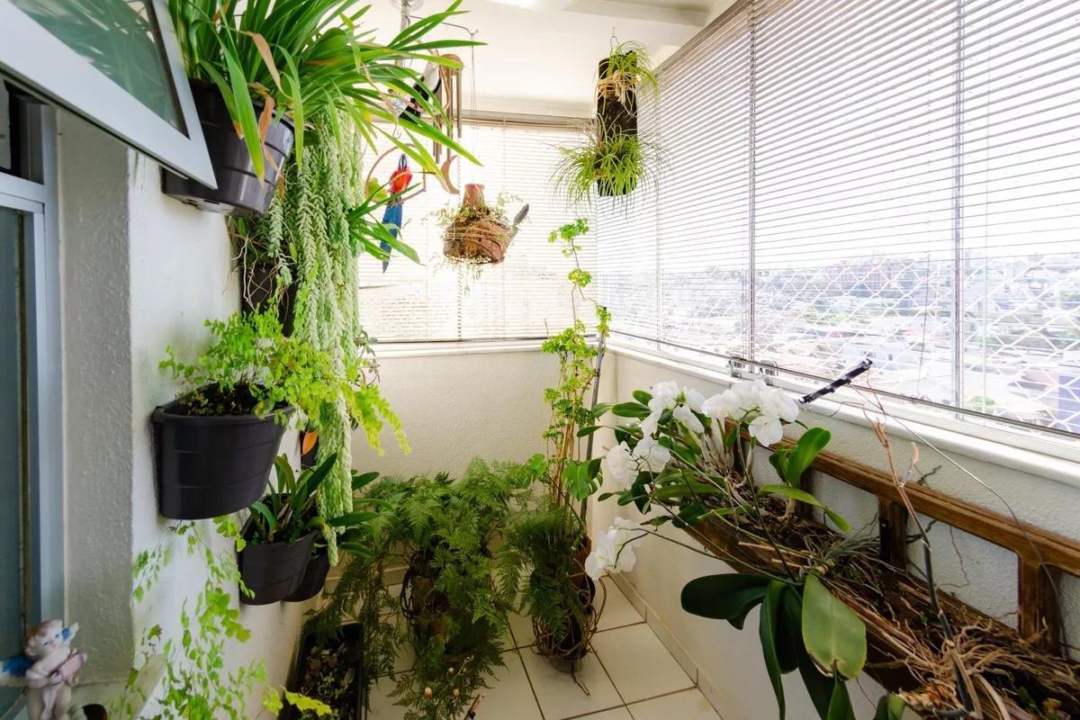 Apartamento, Prado, 3 Quartos, 2 Vagas, 1 Suíte