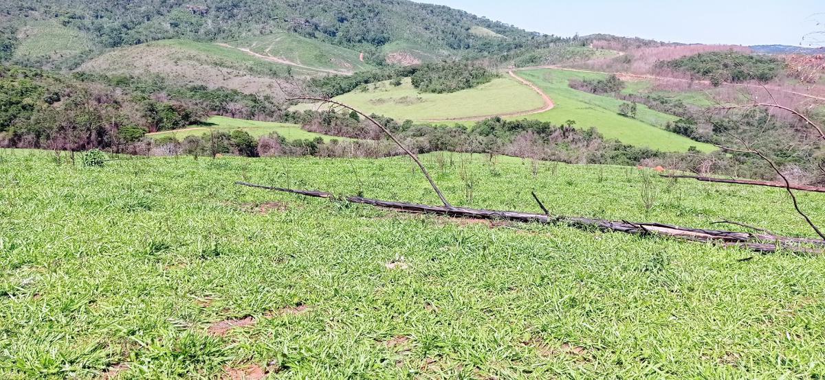 Fazenda, Zona Rural, 0 Quarto, 0 Vaga
