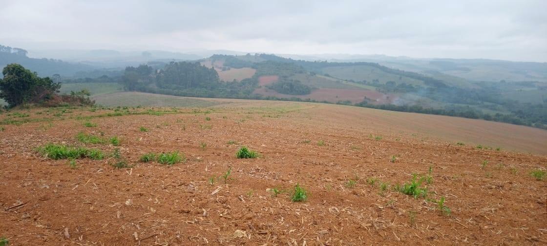Fazenda, Centro, 0 Quarto, 0 Vaga