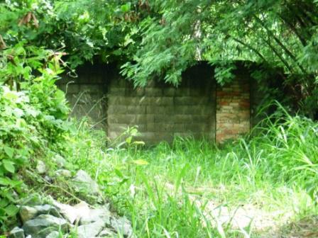 Lote, Bandeirantes (pampulha)