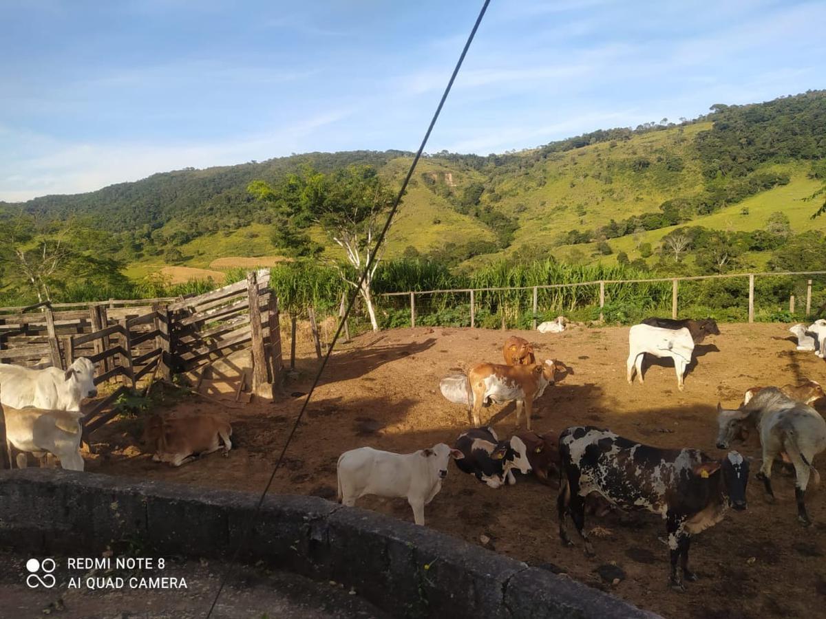 Fazenda, Zona Rural, 3 Quartos, 0 Vaga