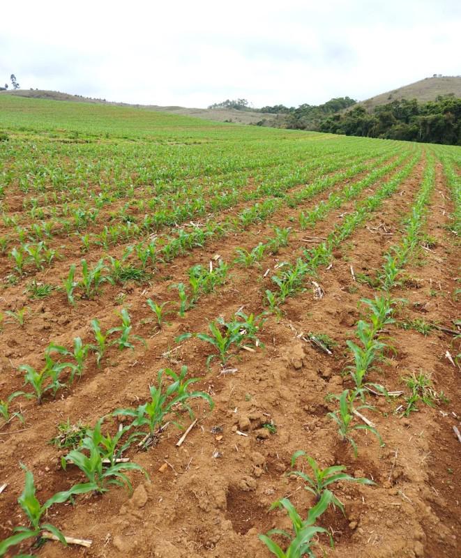 Fazenda, Zona Rural, 0 Quarto, 0 Vaga