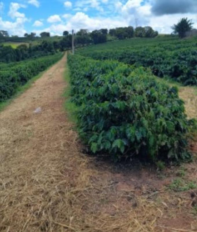 Fazenda, Zona Rural, 0 Quarto, 0 Vaga
