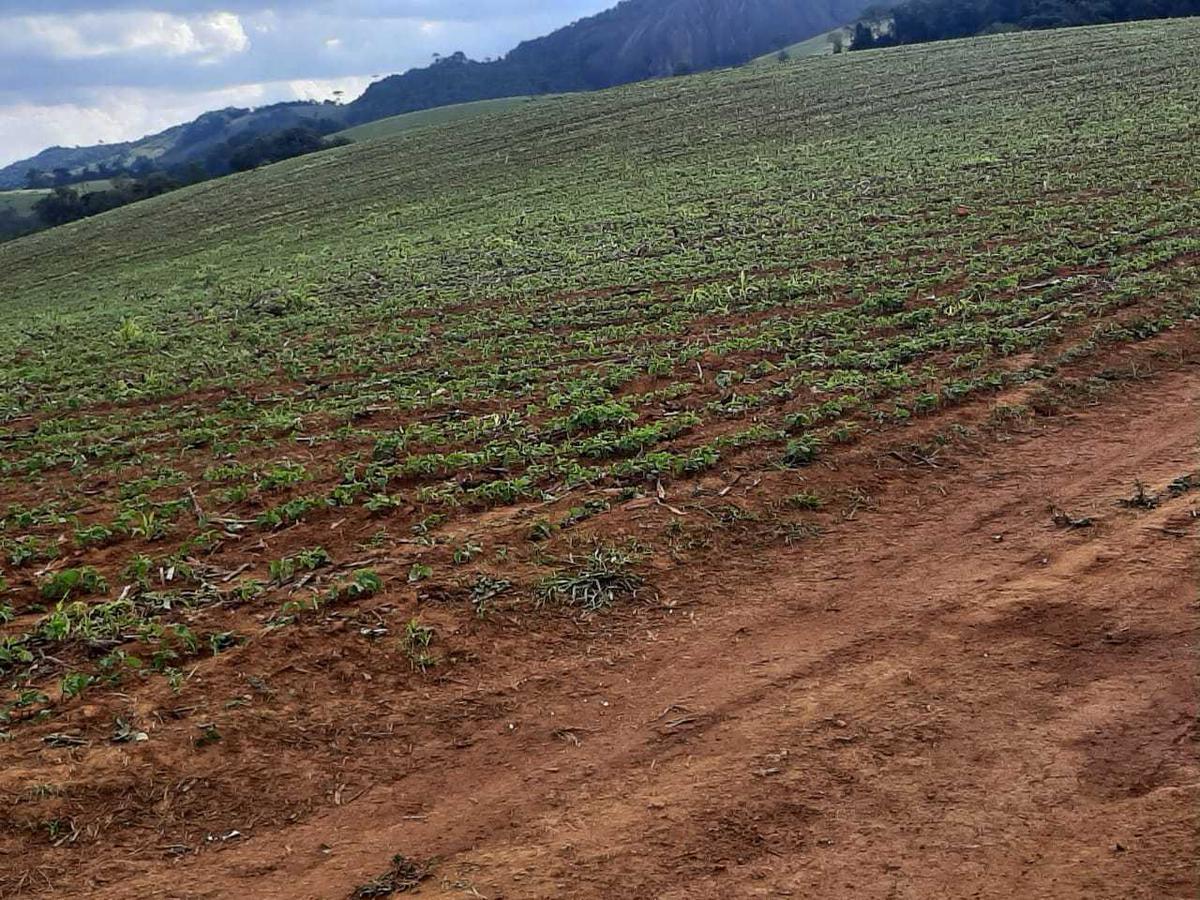 Fazenda, Centro, 0 Quarto, 0 Vaga