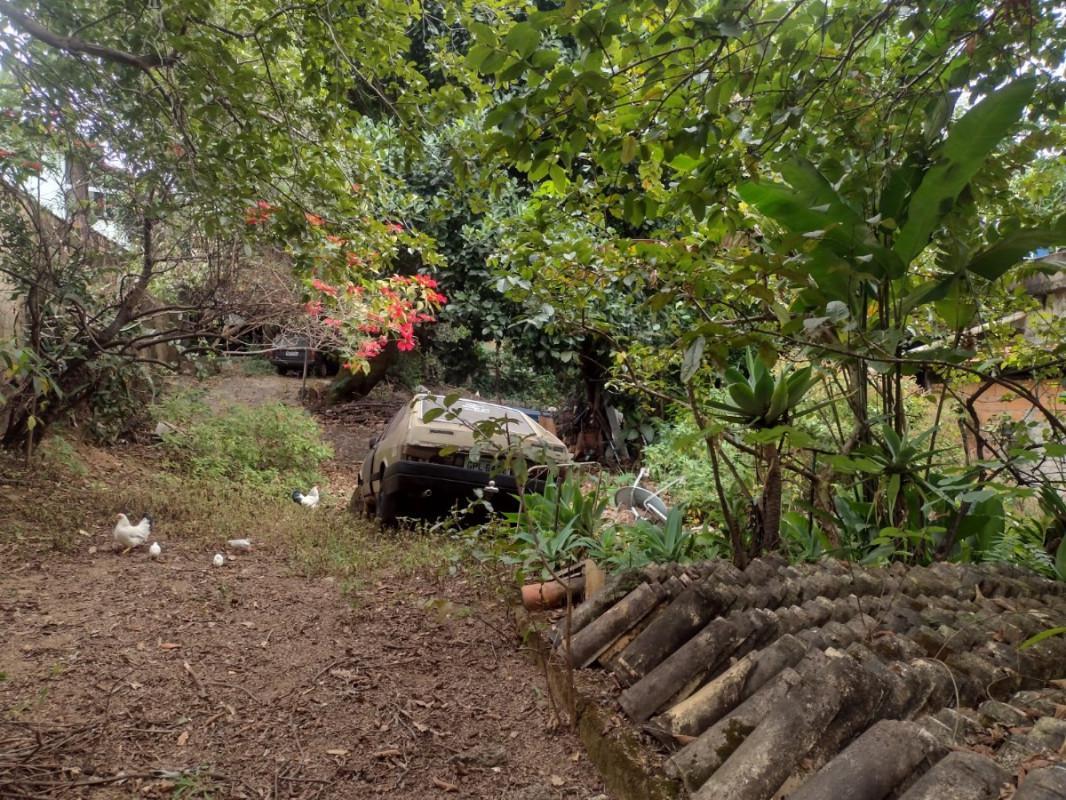 Lote, Cinquentenário, 0 Quarto, 0 Vaga