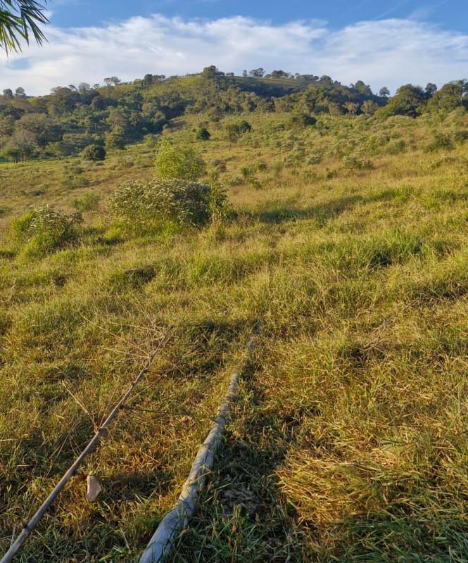 Fazenda, Zona Rural, 0 Quarto, 0 Vaga