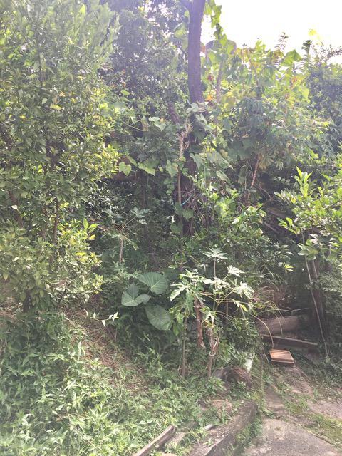 Casa, Vila Rica, 4 Quartos, 3 Vagas