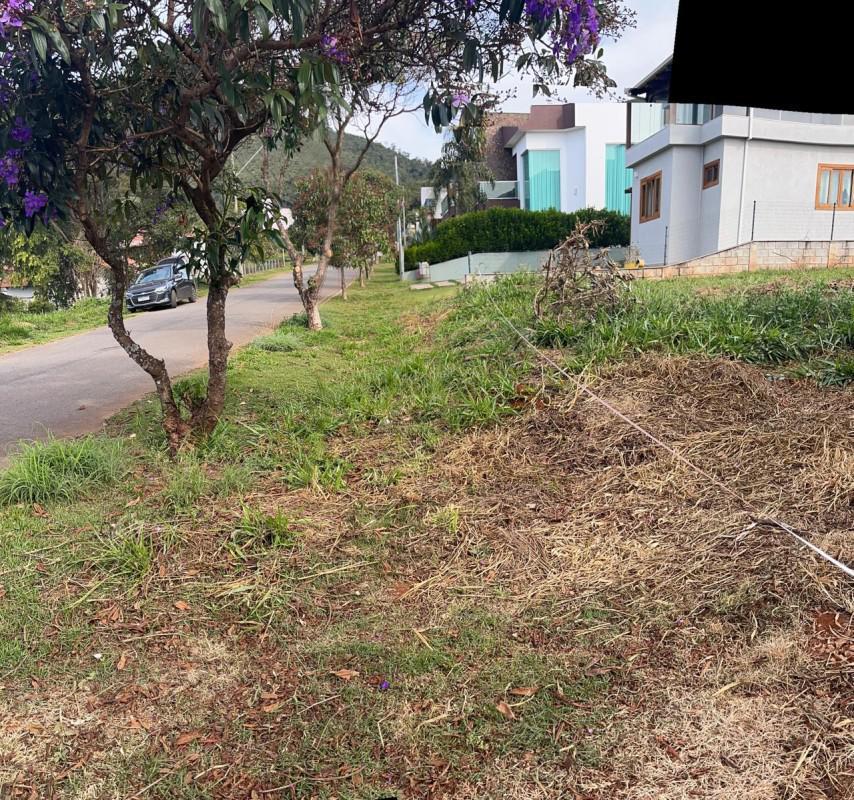 Lote, Centro, 0 Quarto, 0 Vaga