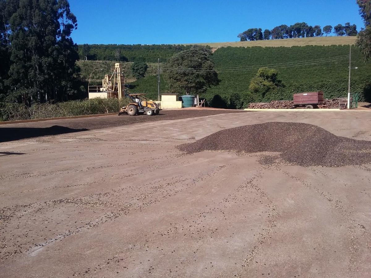 Fazenda, Centro, 3 Quartos, 1 Vaga, 1 Suíte