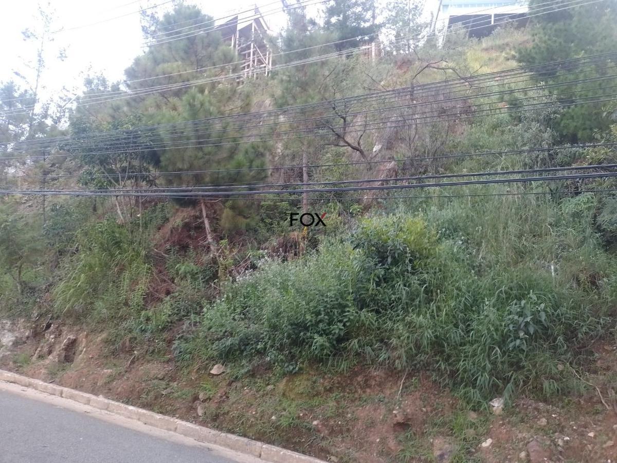 Lote, Vila Castela, 0 Quarto, 0 Vaga