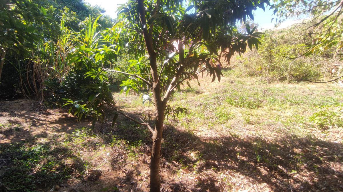 Lote, Centro, 0 Quarto, 0 Vaga
