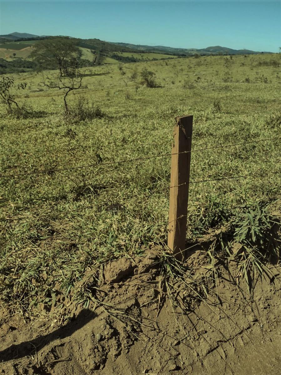Fazenda, Centro, 1 Quarto, 0 Vaga