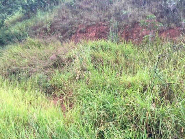 Lote, São Damião, 0 Quarto, 0 Vaga
