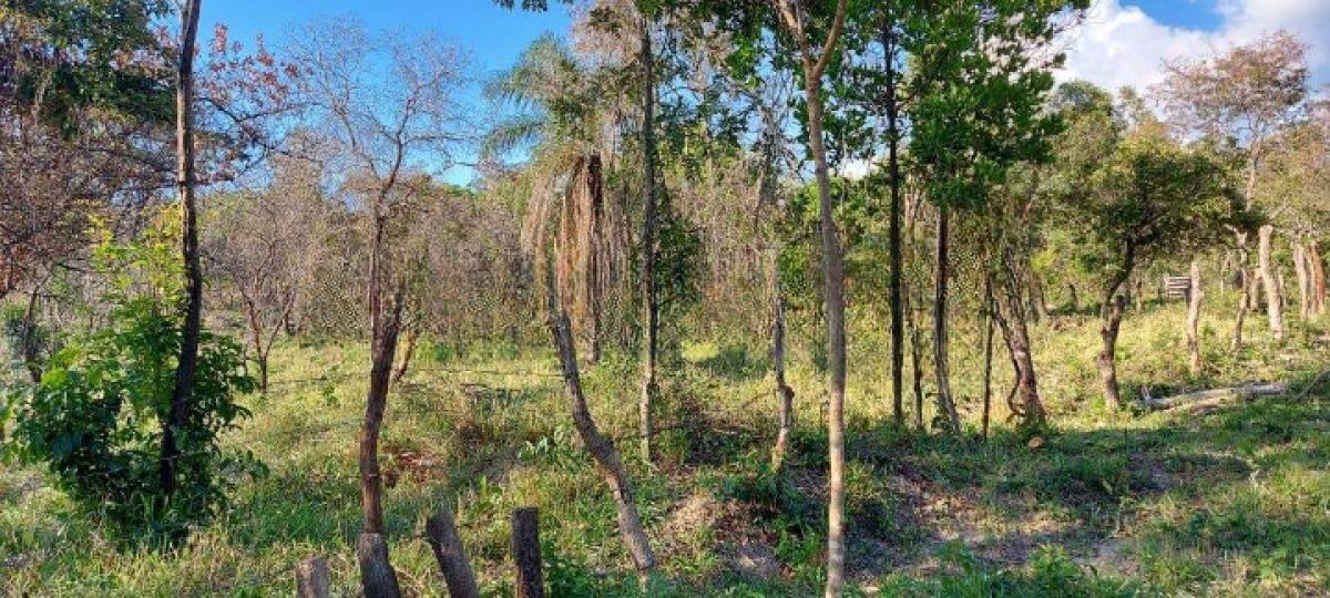 Fazenda, Area Rural de Santa Luzia, 0 Quarto, 0 Vaga