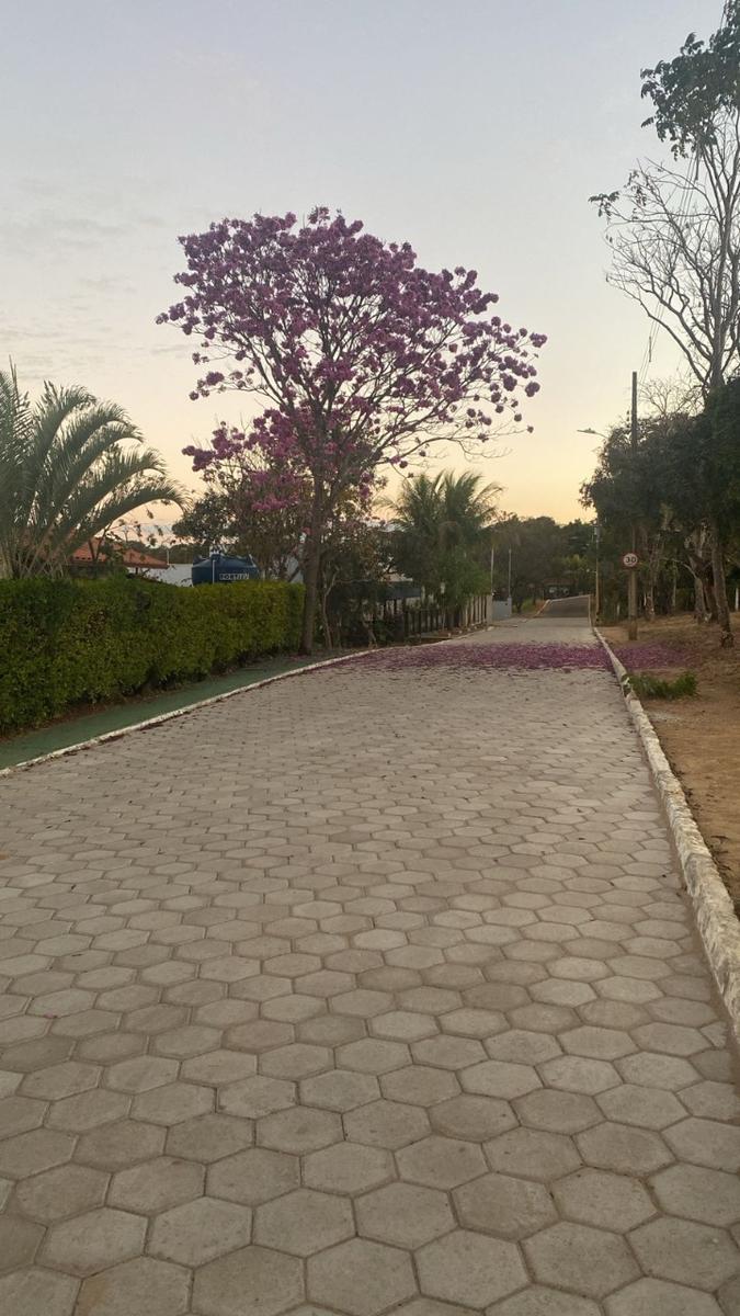 Lote, Palmital, 0 Quarto, 0 Vaga