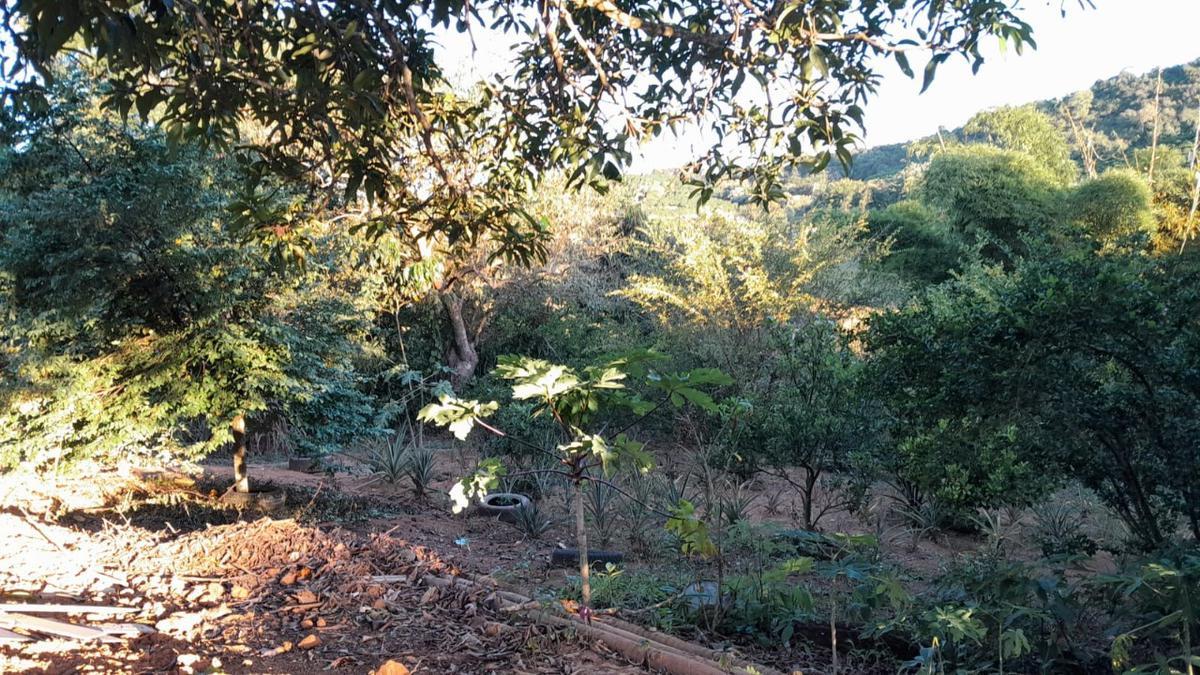 Fazenda, Zona Rural, 0 Quarto, 0 Vaga