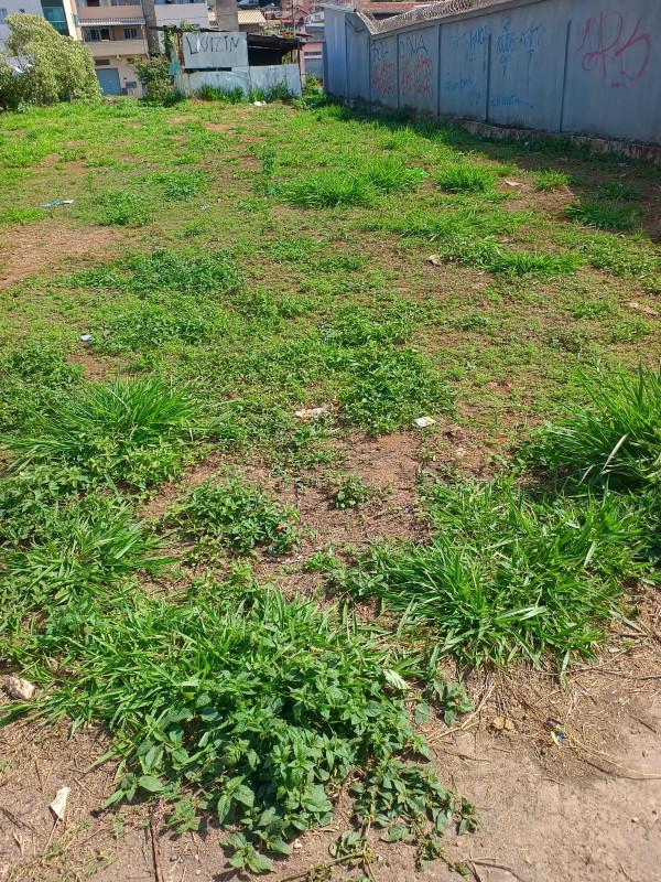 Lote, Parque Maracanã, 0 Quarto, 0 Vaga