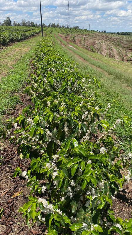 Fazenda, Zona Rural, 0 Quarto, 0 Vaga