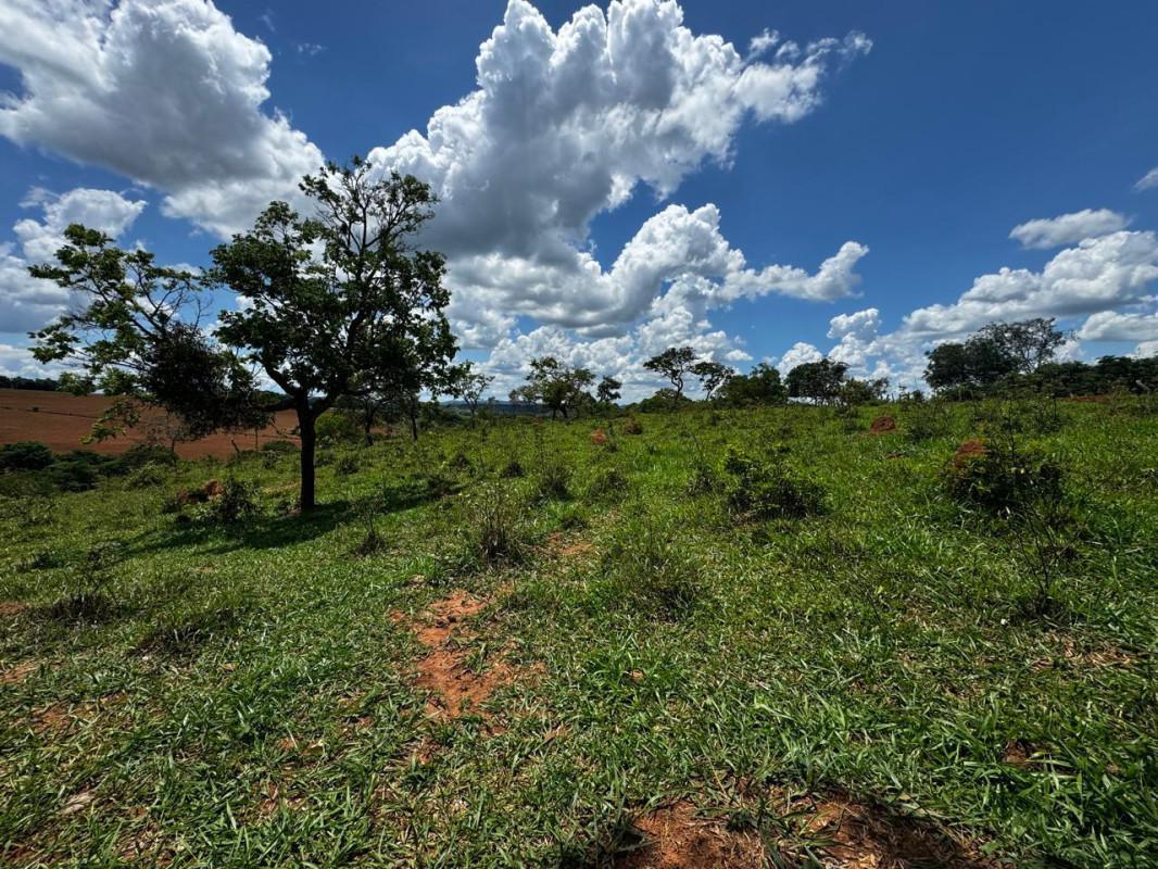 Lote, Centro, 0 Quarto, 0 Vaga