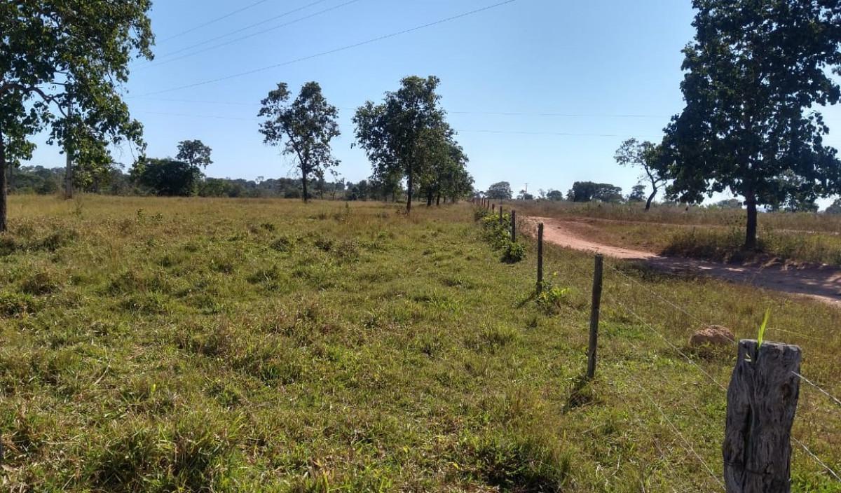 Fazenda, Zona Rural, 0 Quarto, 0 Vaga