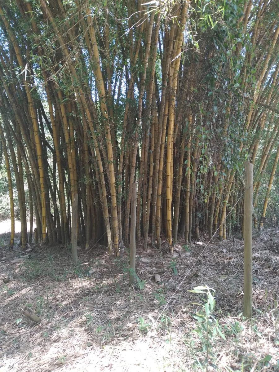 Fazenda, Zona Rural, 3 Quartos, 5 Vagas