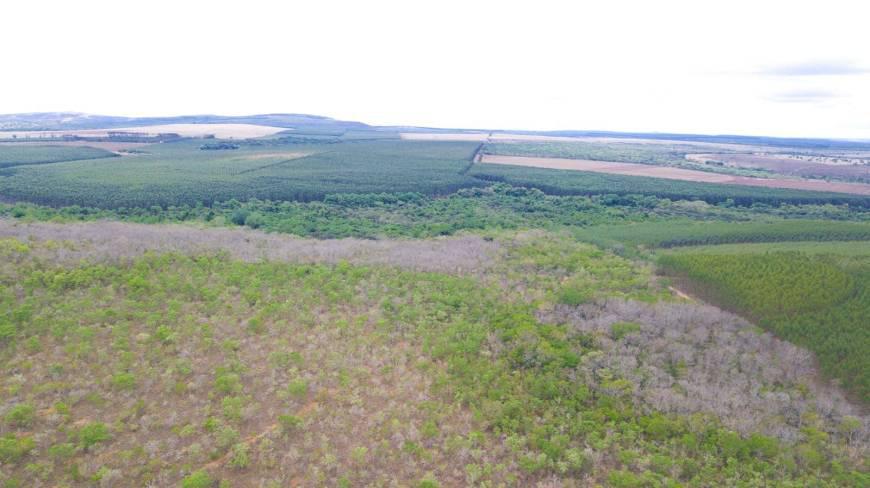 Fazenda, Centro, 0 Quarto, 0 Vaga