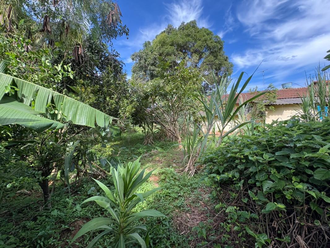 Fazenda, Bom Jardim, 0 Quarto, 0 Vaga